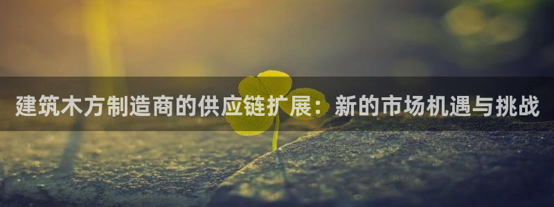 和记黄埔公司官网：建筑木方制造商的供应链扩展：新的市场机遇与挑战