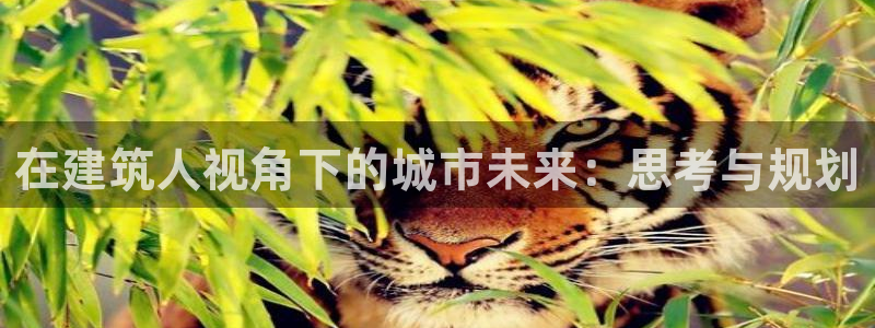和记h188怡情官网