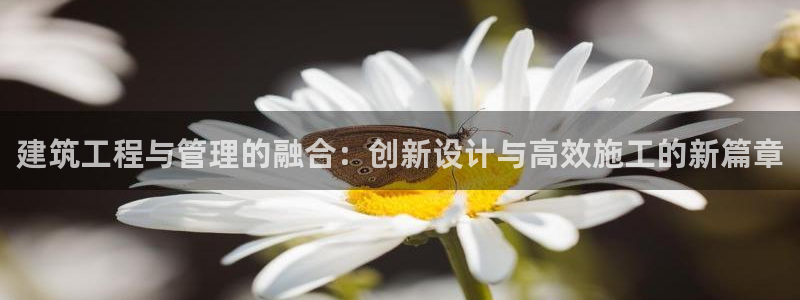 和记官网充值：建筑工程与管理的融合：创新设计与高效施工的新篇章