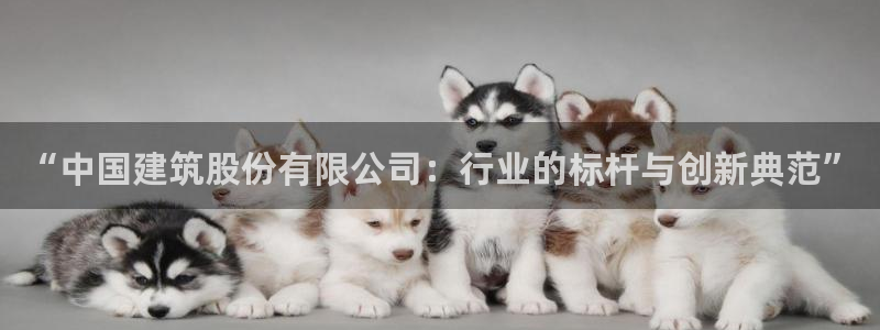 和记国际电讯官网：“中国建筑股份有限公司：行业的标杆与创新典范”