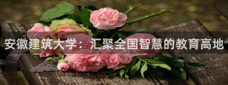 和记澳门官网：安徽建筑大学：汇聚全国智慧的教育高地