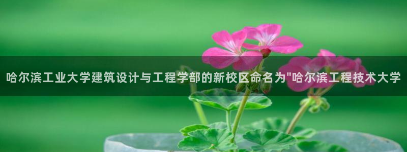 和记娱等级h88285官网