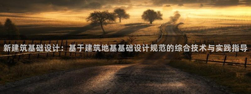 和记官网 公司：新建筑基础设计：基于建筑地基基础设计规范的综合技术与实践指导
