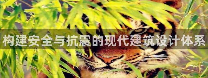 和记手机客户端官网：构建安全与抗震的现代建筑设计体系
