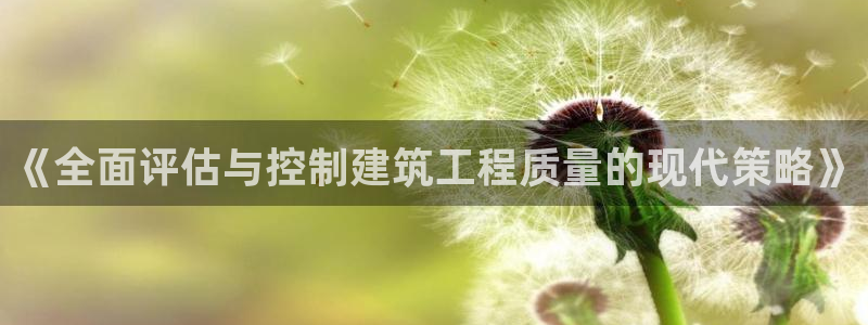胡和记面官网：《全面评估与控制建筑工程质量的现代策略》
