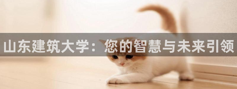 和记娱乐怡情官网：山东建筑大学：您的智慧与未来引领