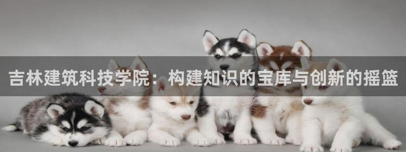 和记网站官网：吉林建筑科技学院：构建知识的宝库与创新的摇篮