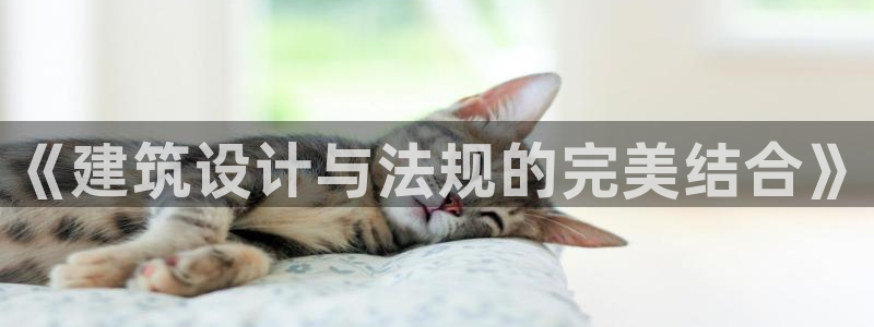 和记电讯three官网