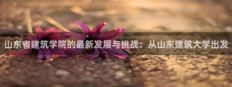 澳门和记官网