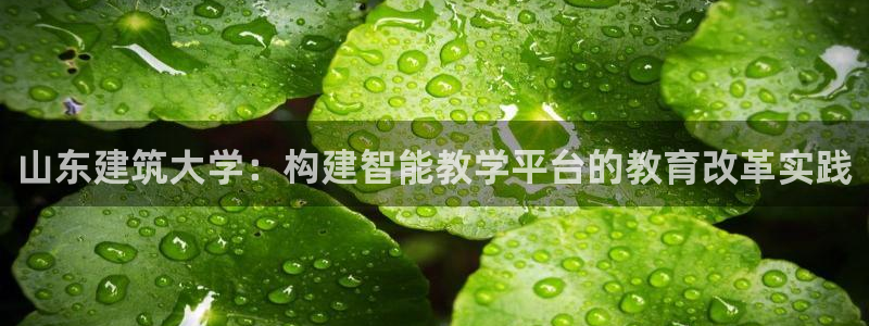 长江和记有限公司 官网：山东建筑大学：构建智能教学平台的教育改革实践