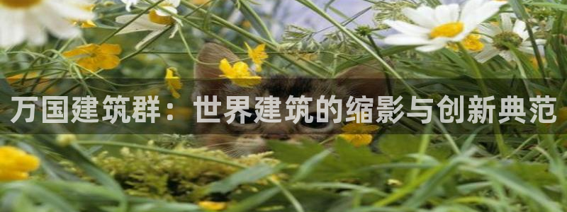 和记娱乐 怡情搏娱官网：万国建筑群：世界建筑的缩影与创新典范